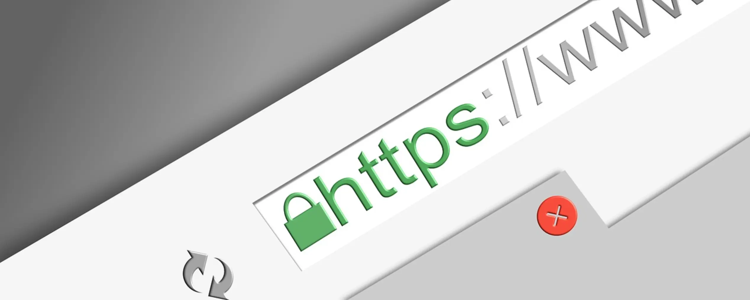 SSL certificates provide data protection for online businesses.